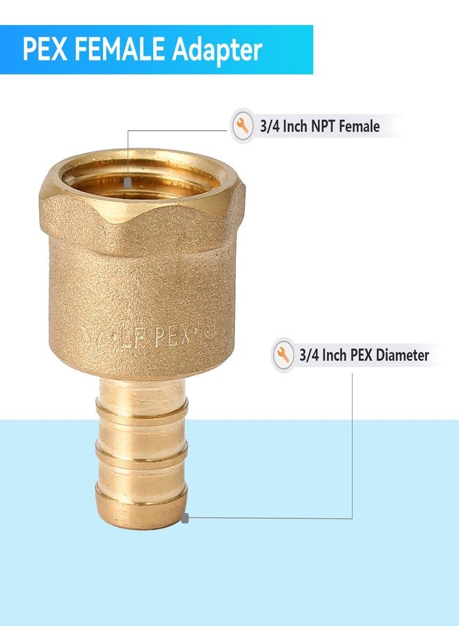 GUOFIS (Pack of 10) PEX 3/4" x 3/4" NPT Female Threaded Adapter,Brass Pex Crimp Adapters Fitting for PEX Pipes in Plumbing Jobs(PEX1807044) - Image 2